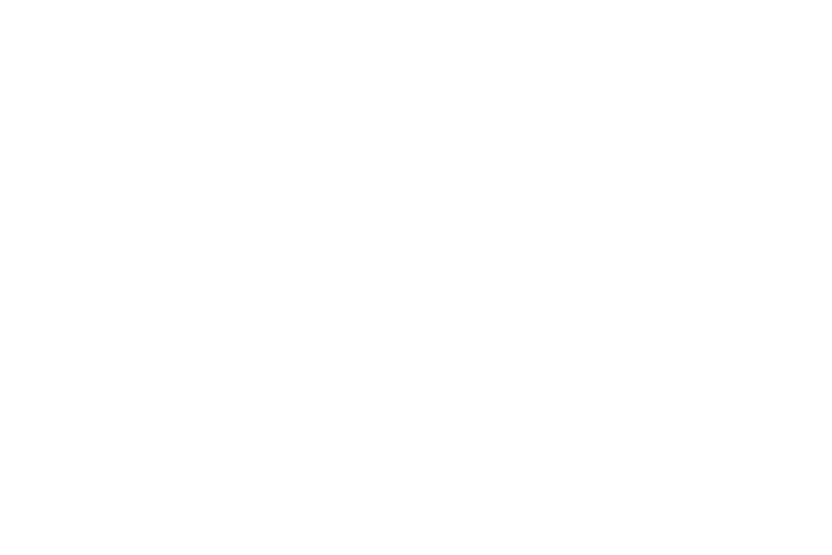 FIAT Logo