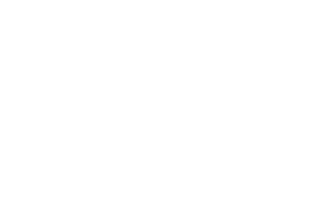 Skoda Logo