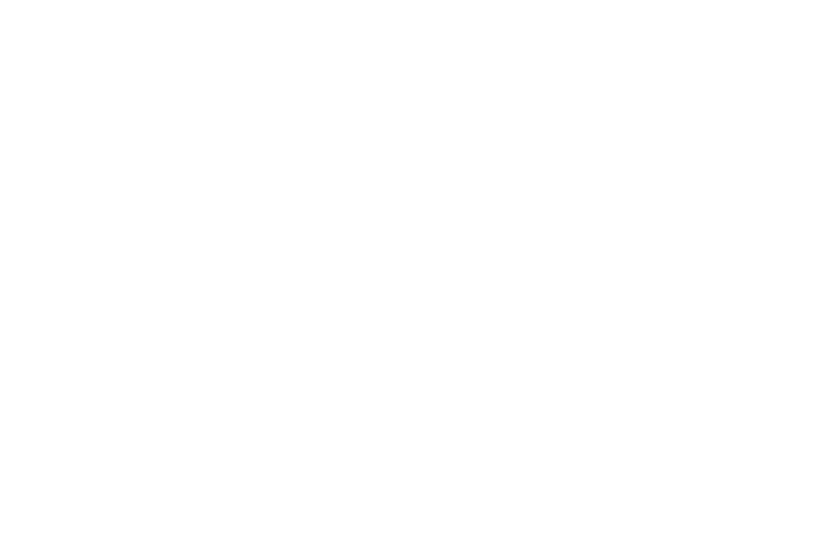 Volkswagen Logo