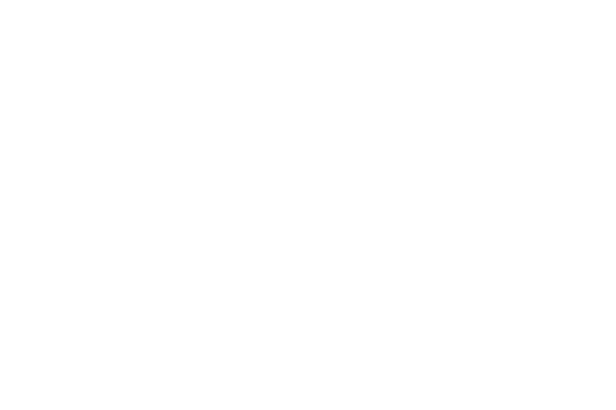 VW NFz Logo